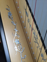 Load image into Gallery viewer, Salvi Ana Lever Harp